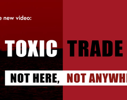 New video explains why Europe needs to stop toxic pesticide trade