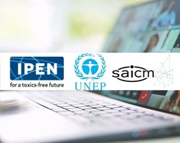 Webinar: Women Leadership, Chemical Safety, and the SDGs (available in 3 languages)