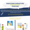BEUC Infographic: Endocrine disruptors throughout your day