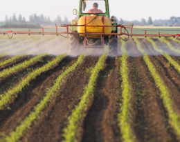 Europe's Toxic Harvest: Unmasking PFAS Pesticides Authorities in Europe