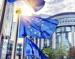 European Parliament adopts resolution on future EU chemicals strategy, addressing EDCs  
