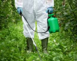 Have your say on the EU Pesticide Reduction Law by 19 September