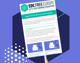 Newsletter: Updates from the EDC-Free Europe campaign