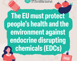 New infographic explains why and how the EU must protect people's health and the environment against endocrine disruptors