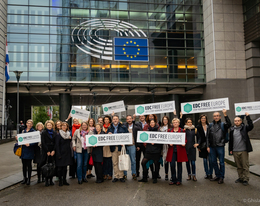 EDC-Free Europe meets with Members of EU Parliament for urgent action on endocrine disruptors