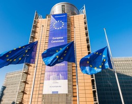 No mention of EDCs in draft EU Green Deal: EDC-Free Europe expresses concerns