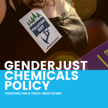 WECF Germany and Wen. call for a gender-differentiated chemicals policy 