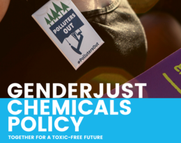 WECF Germany and Wen. call for a gender-differentiated chemicals policy 
