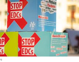 Die Kampagne der NGO-Allianz EDC-Free Europe gegen hormonell schädliche Chemikalien in Deutschland und Österreich geht weiter