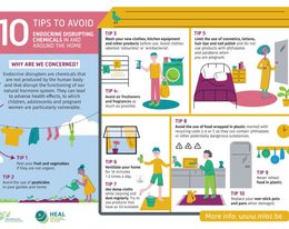 Infographic: 10 tips om hormoonverstoorders te vermijden in en rond je huis