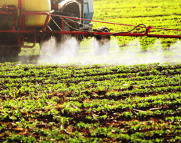 PAN Europe: Banned pesticides still in use in the EU
