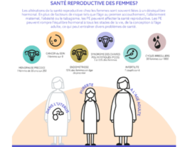 Comment les perturbateurs endocriniens (PE) peuvent-ils affecter la santé reproductive des femmes?