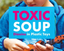 Toxic Soup: Dioxins in Plastic Toys