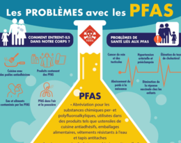 Comment les PFAS affectent les femmes, la grossesse et le développement humain