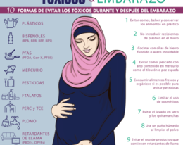 Tóxicos & Embarazo: 10 formas de evitar los tóxicos durante y después del embarazo