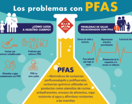 El efecto de las PFAS en las mujeres, el embarazo y el desarrollo humano