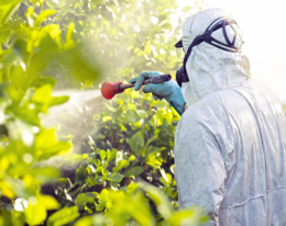 Informe: Propuesta para el establecimiento legal de objetivos de reducción del uso de pesticidas en España