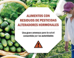 Infome: Pesticidas Disruptores Endocrinos