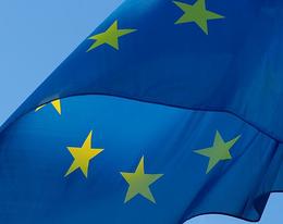 EU Parliament calls on Commission to get rid of endocrine disruptors