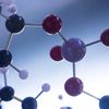 ChemSec recaps: What Are Endocrine Disrupting Chemicals? 
